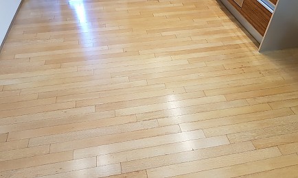 [마루바닥 코팅] 경기도 화성시